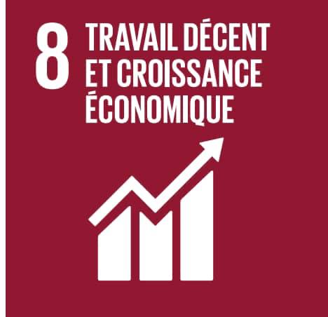 ODD 8 Travail decent et croissance economique